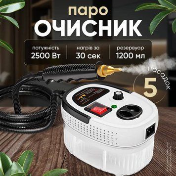 Пароочисник